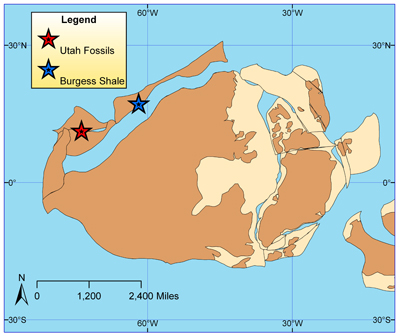 "Brown and tan island that represents the position of Utah during Cambrian with two stars highlighting Utah fossils and Burgess Shale"