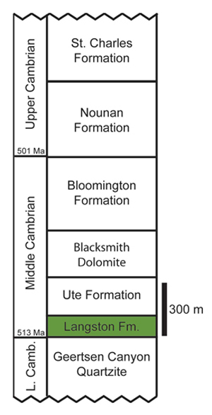 "Highlights the Langston Formation relative to other positions within the mountain "